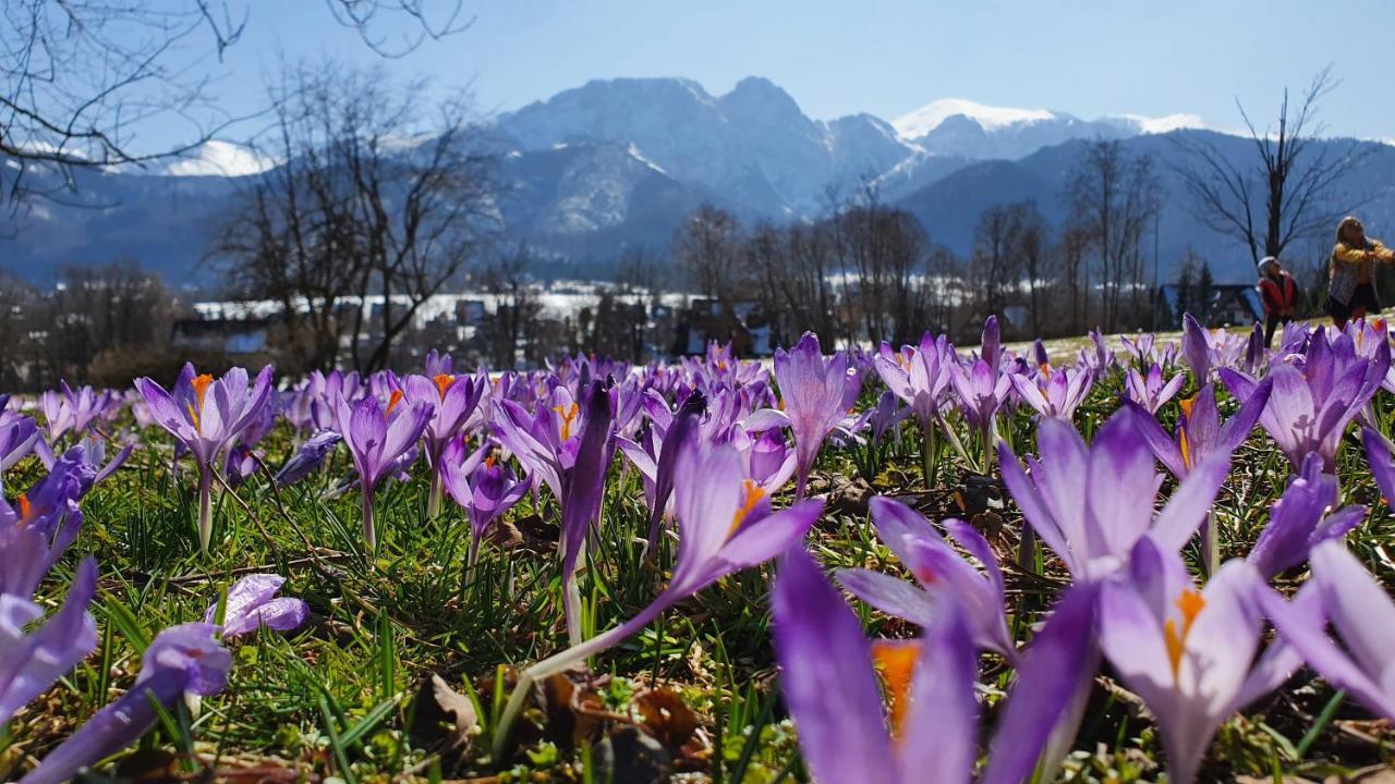 Pokoje Widokowe Szymaszkowa Zakopane Exterior photo